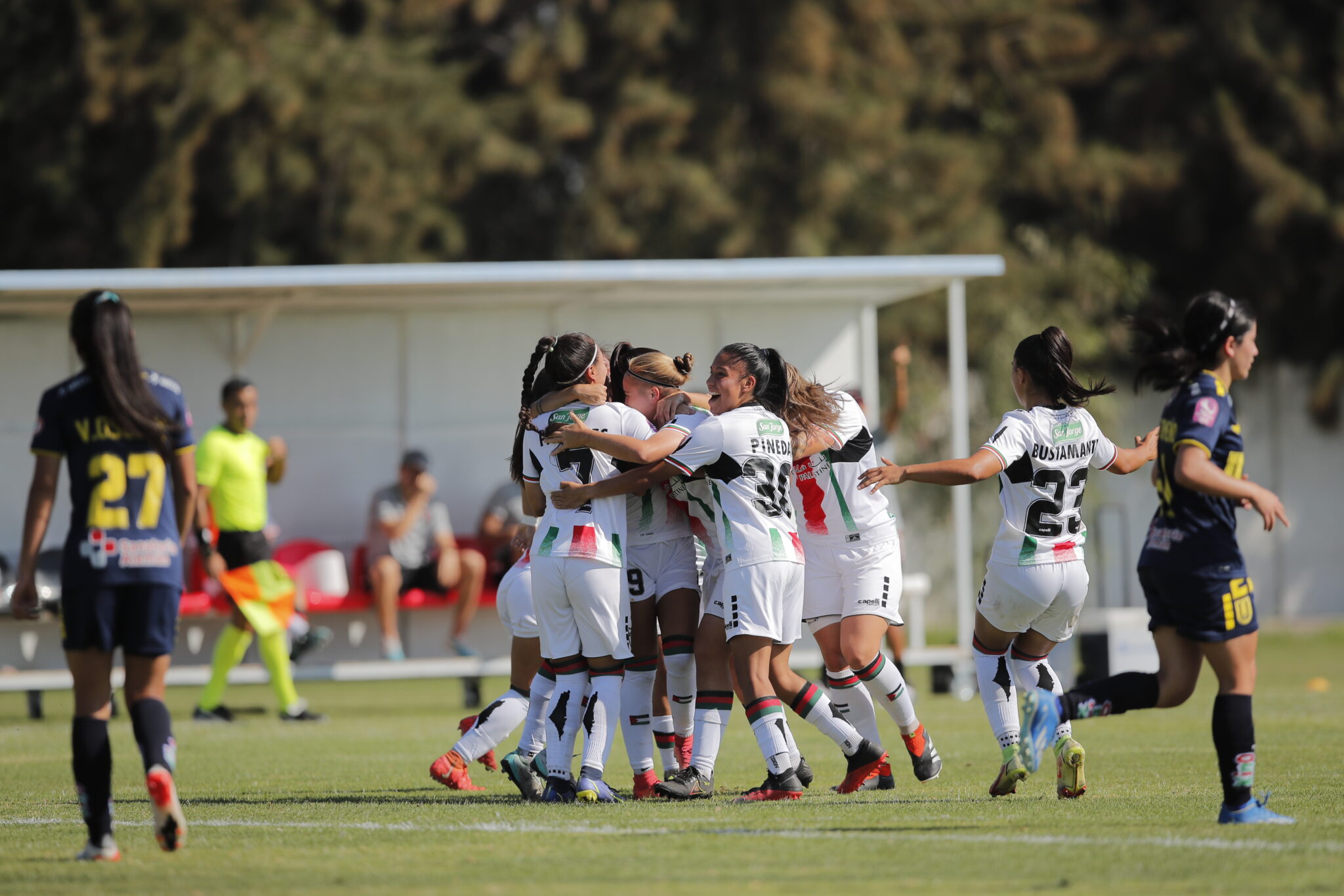 Club Deportivo Palestino SADP Más que un equipo Todo un pueblo