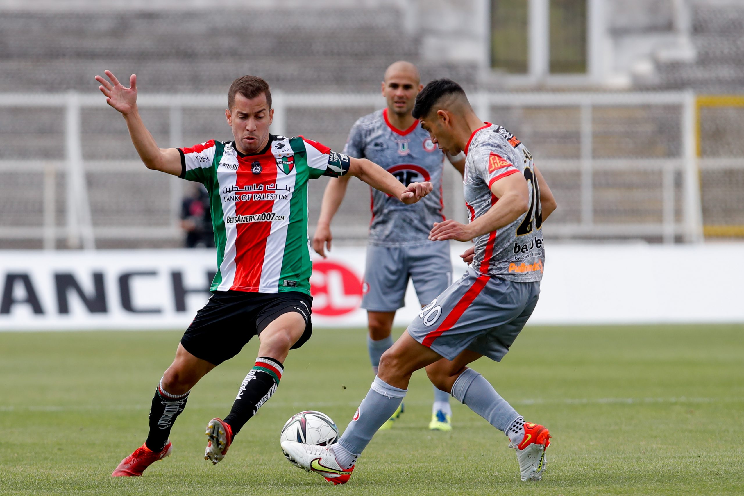 Acreditación prensa: Palestino vs Unión La Calera – Palestino Oficial