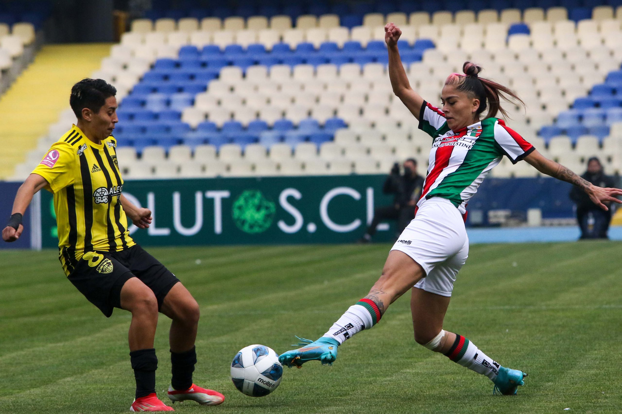 Fecha 12: Fernández Vial 1-1 Palestino femenino