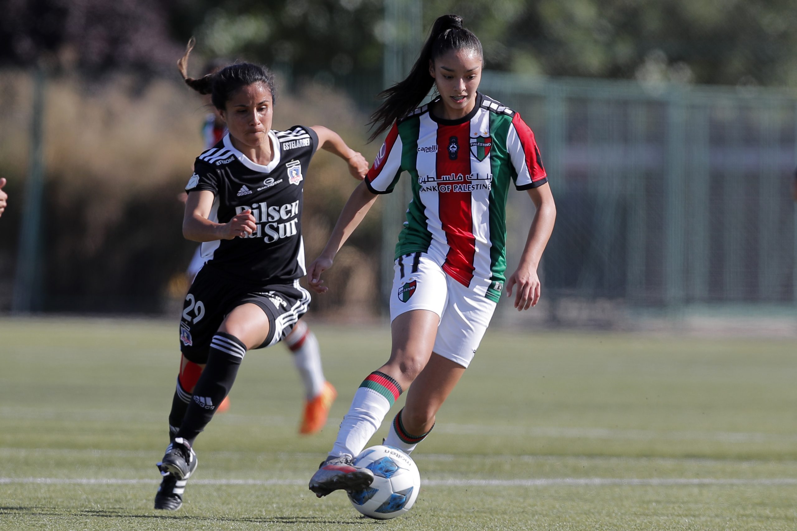 Fecha 7, segunda fase: Palestino femenino 0-1 Colo Colo
