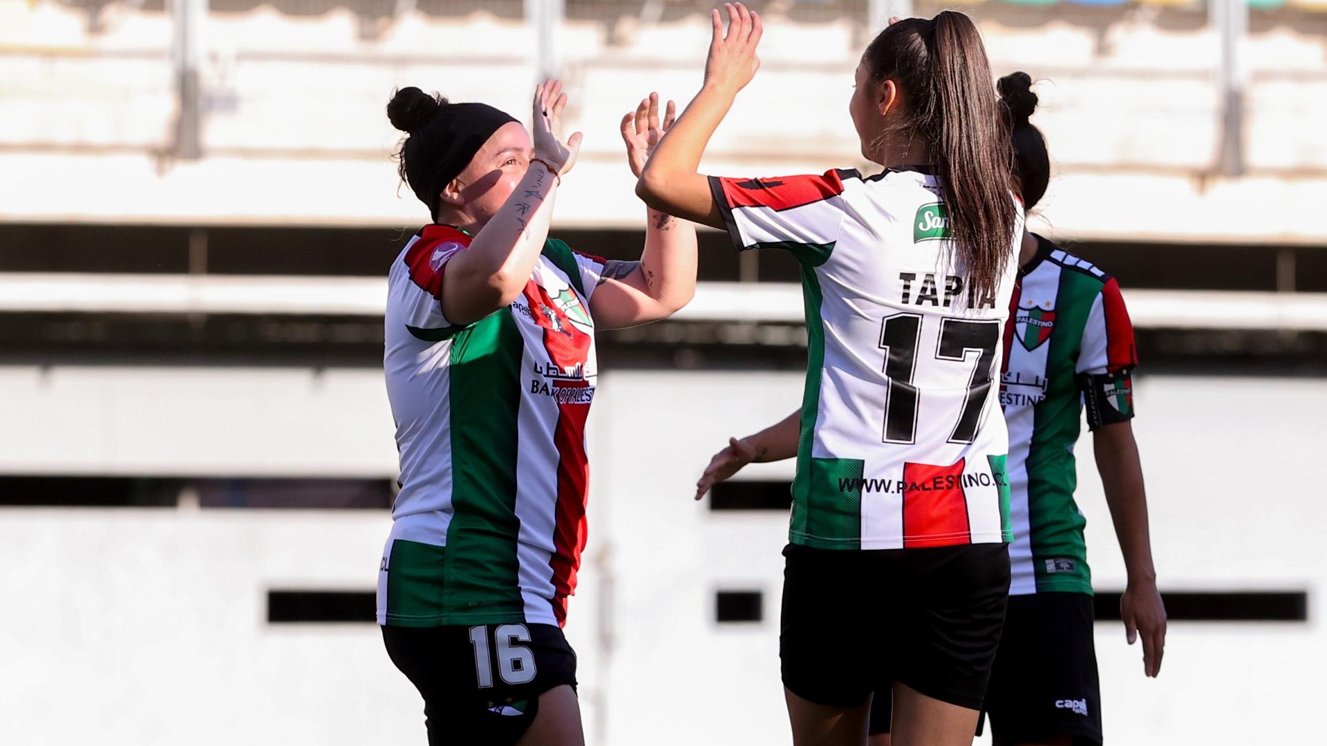 Palestino Femenino ya conoció las Bases del  Campeonato Nacional 2023