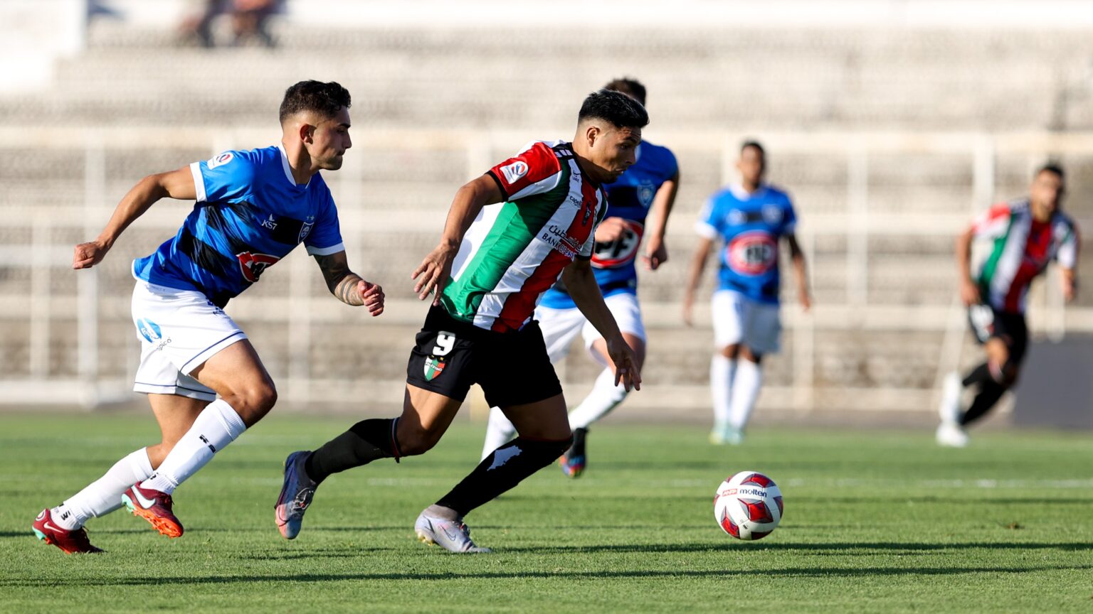 Palestino Oficial – Más Que Un Equipo, Todo Un Pueblo.