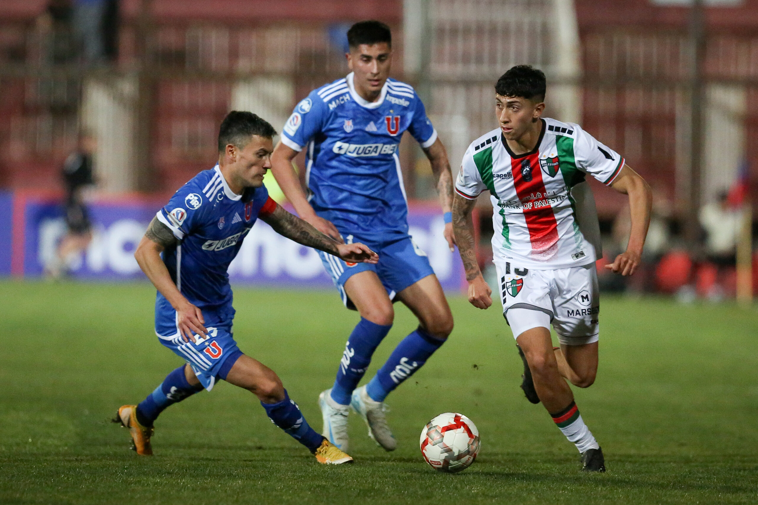 PREVIA | FECHA 24 CAMPEONATO ITAÚ 2024 | UNIVERSIDAD DE CHILE VS PALESTINO